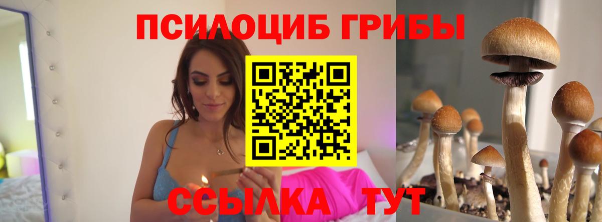 Псилоцибиновые грибы Magic Shrooms  Вход с VPN  Ачинск  Галлюциногенные грибы Cubensis 